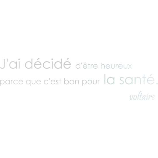 Pellicole Effetto sabbiato - Citazione Voltaire