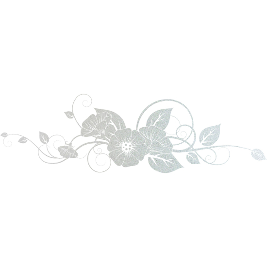 Pellicole Effetto sabbiato - Fiori