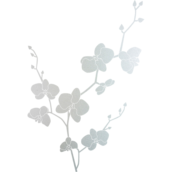 Pellicole Effetto sabbiato - Fiori