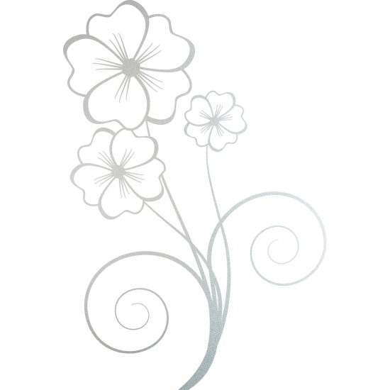 Pellicole Effetto sabbiato - Fiori