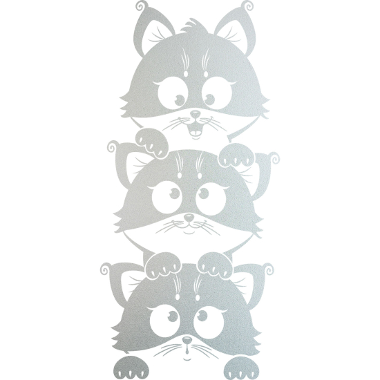 Pellicole Effetto sabbiato - Gatti