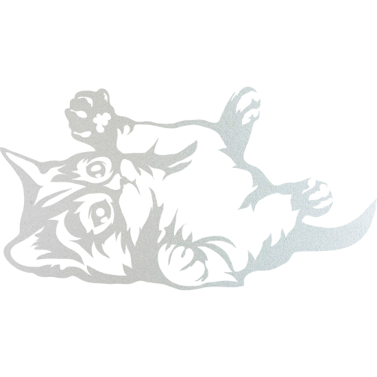 Pellicole Effetto sabbiato - Gattino