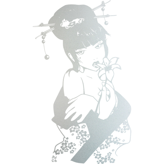 Pellicole Effetto sabbiato - Geisha
