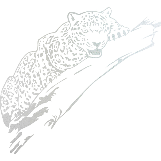 Pellicole Effetto sabbiato - Leopardo