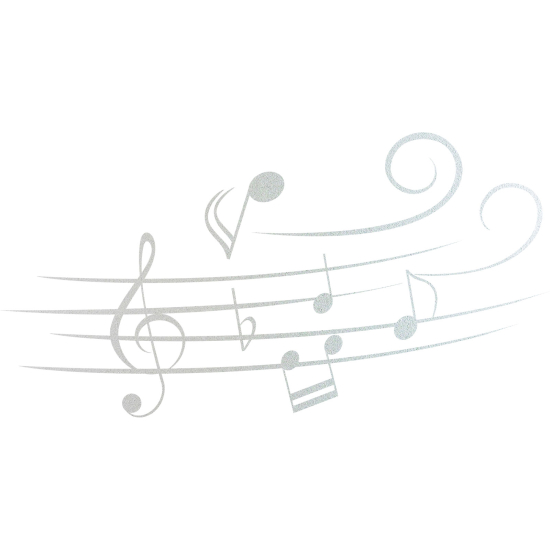 Pellicole Effetto sabbiato - Portata musicale
