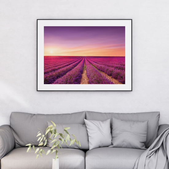 Poster - Campo di lavanda