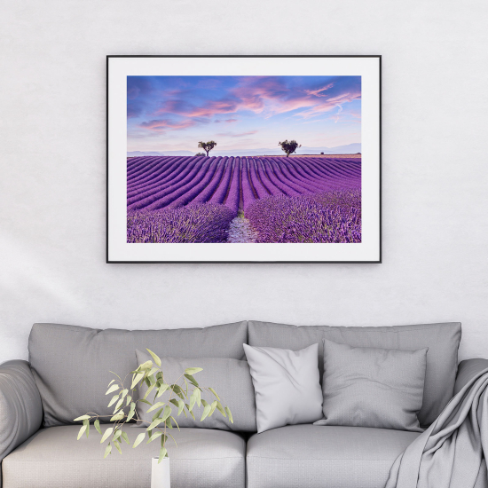 Poster - Campo di lavanda