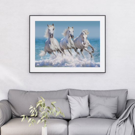 Poster - Cavalli