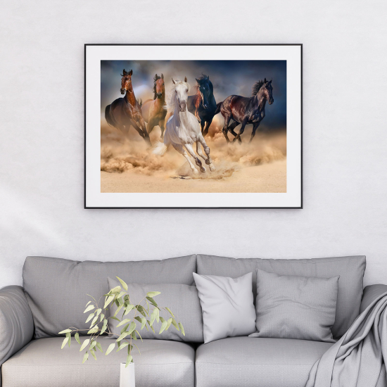 Poster - Cavalli