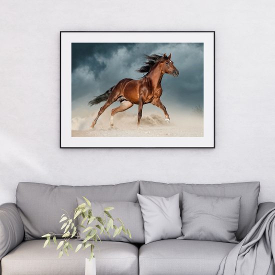 Poster - Cavallo