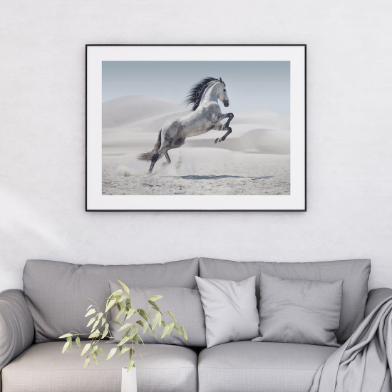 Poster - Cavallo