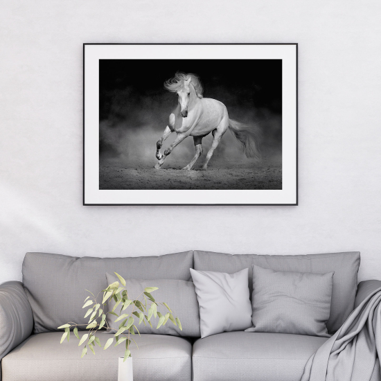 Poster - Cavallo bianco