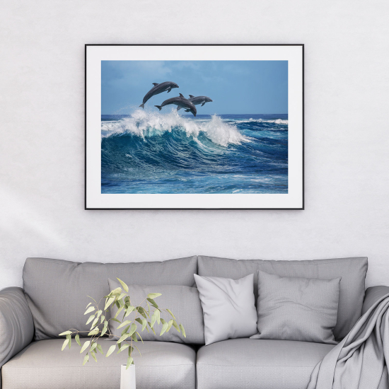 Poster - Delfini