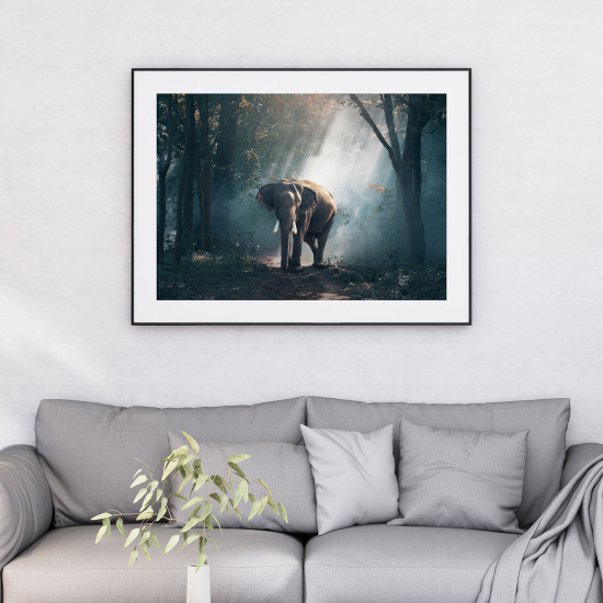 Poster - Elefante