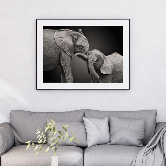 Poster - Elefanti
