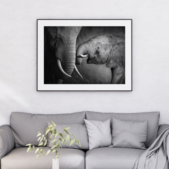 Poster - Elefanti
