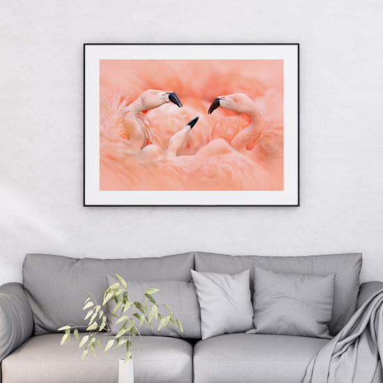 Poster - Fenicotteri rosa