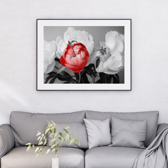 Poster - Fiori