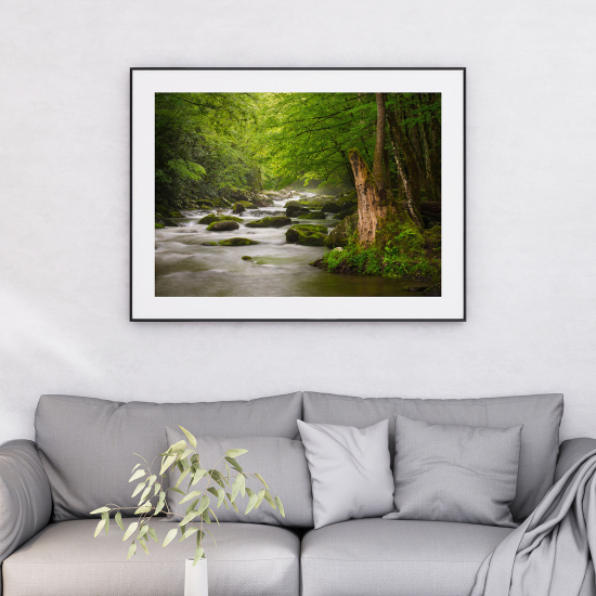 Poster - Fiume Foresta