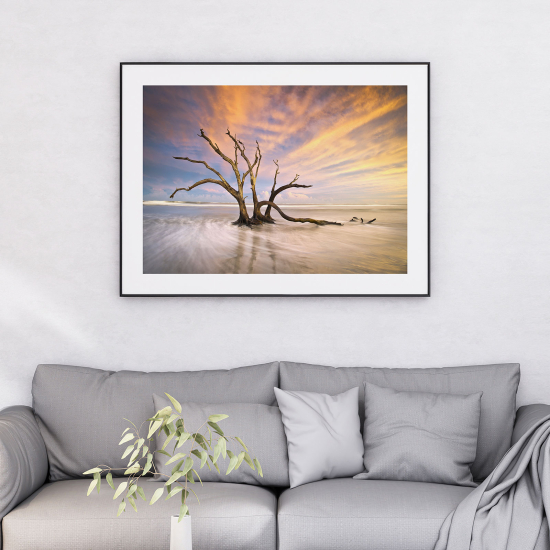 Poster - Legno galleggiante