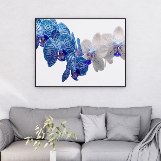 Poster - Orchidee