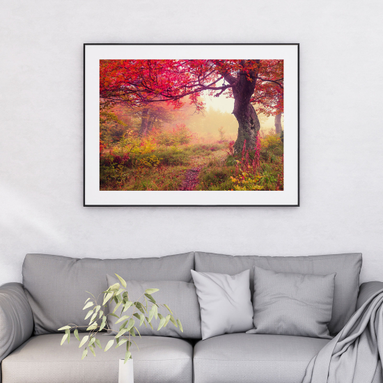 Poster - Paesaggio Foresta