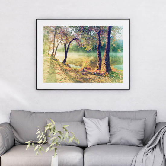 Poster - Paesaggio Foresta