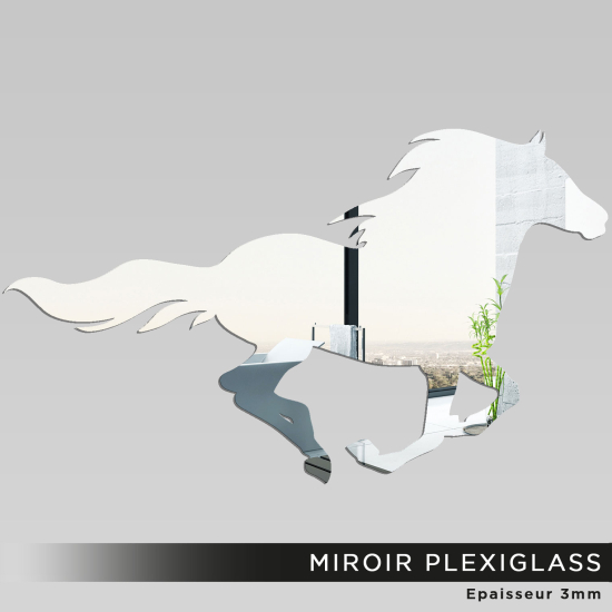 Specchio in plexiglass - Cavallo