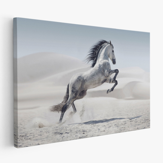 Stampa su tela - Cavallo