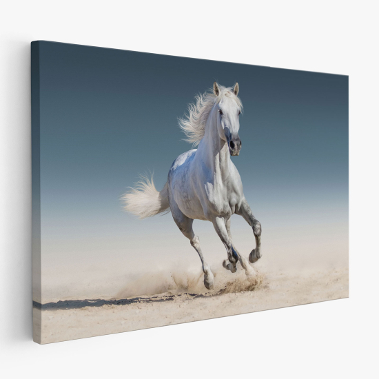 Stampa su tela - Cavallo