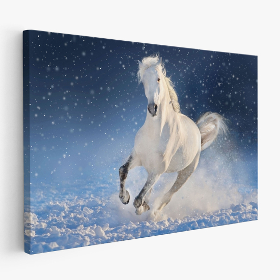 Stampa su tela - Cavallo