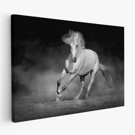 Stampa su tela - Cavallo