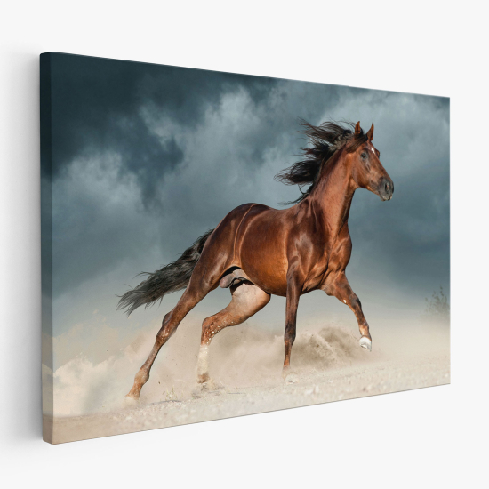 Stampa su tela - Cavallo