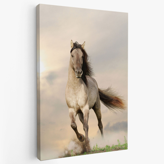 Stampa su tela - Cavallo