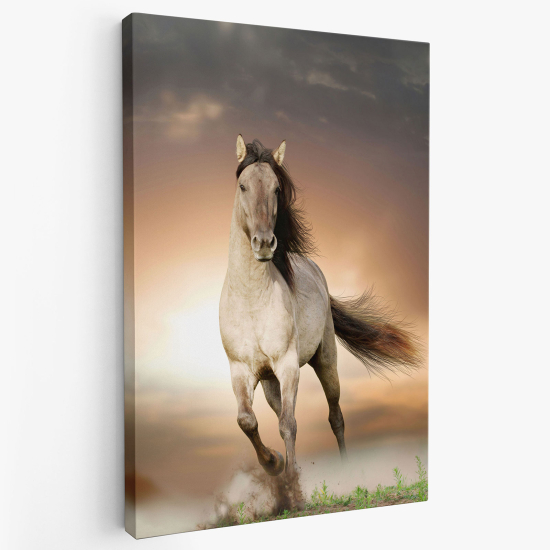 Stampa su tela - Cavallo