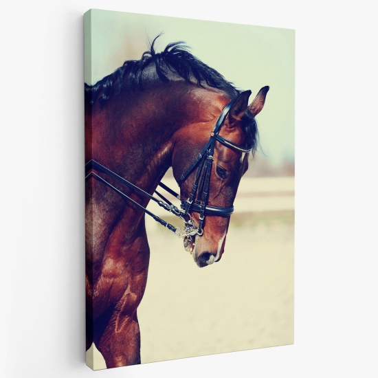 Stampa su tela - Cavallo