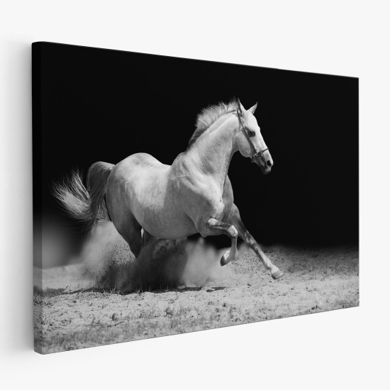 Stampa su tela - Cavallo bianco