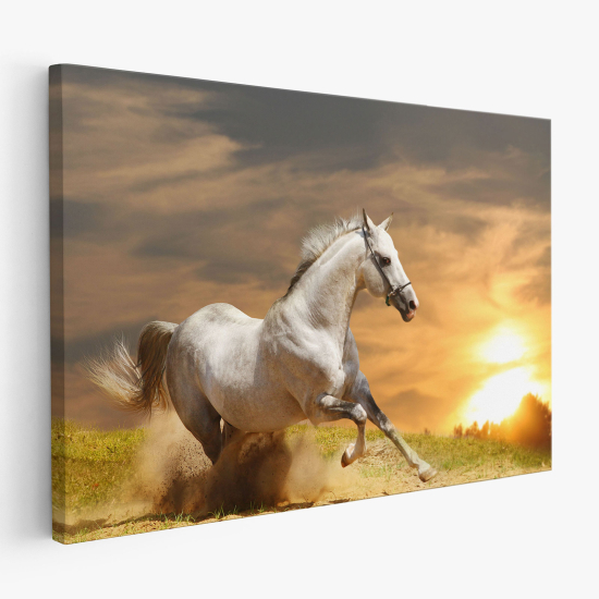Stampa su tela - Cavallo bianco