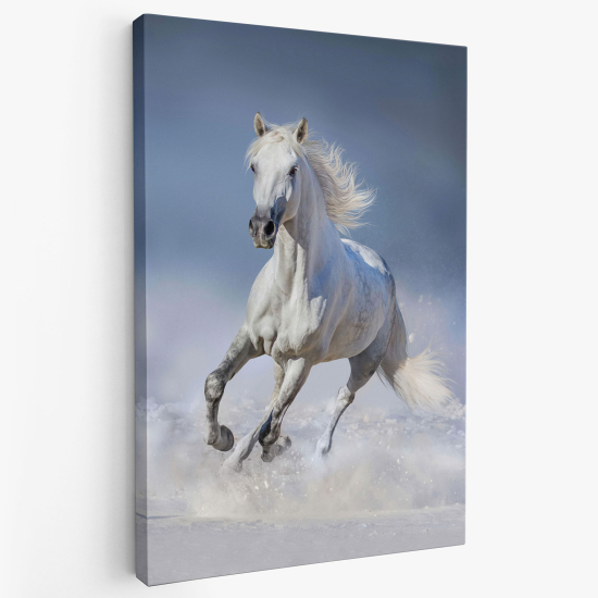 Stampa su tela - Cavallo bianco
