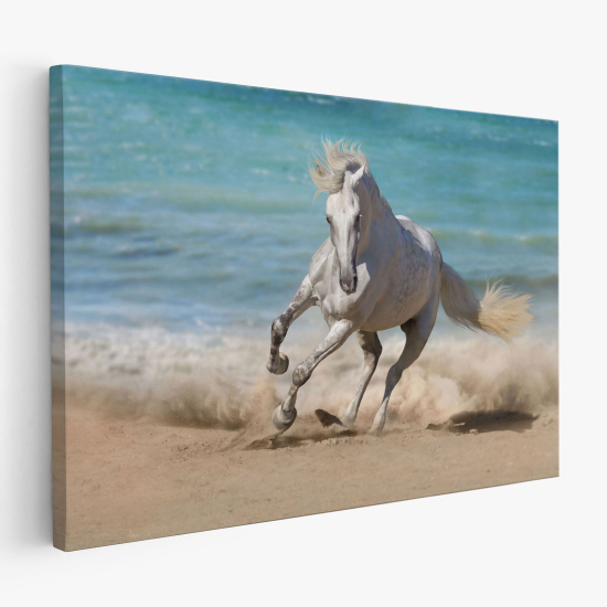 Stampa su tela - Cavallo sulla spiaggia