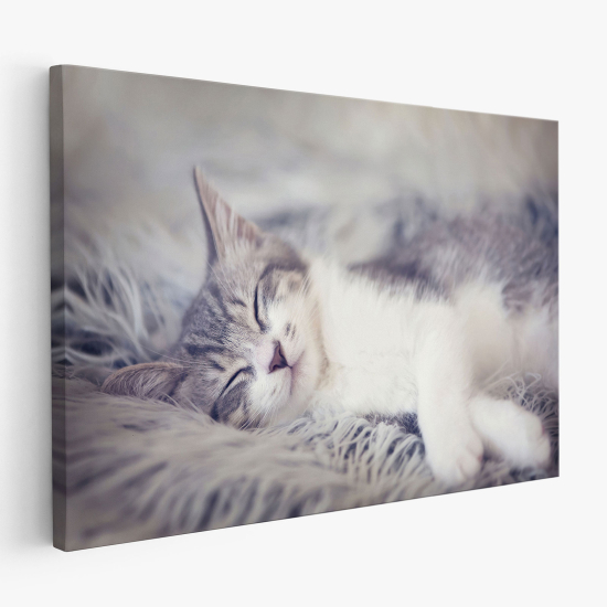 Stampa su tela - Chat