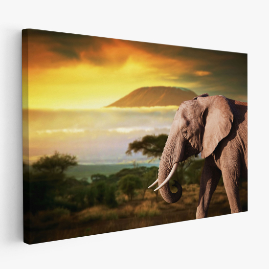 Stampa su tela - Elefante