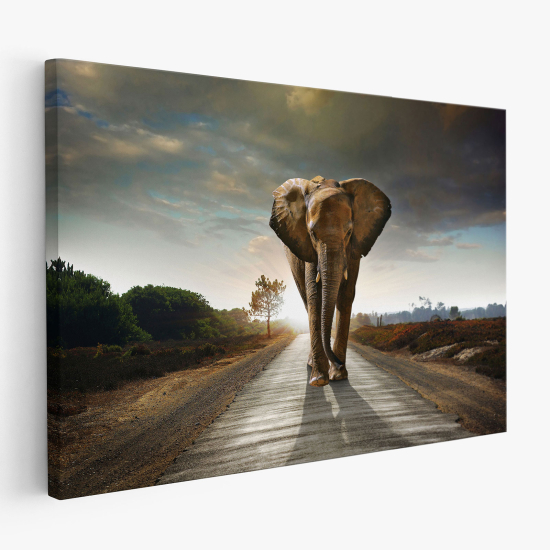 Stampa su tela - Elefante