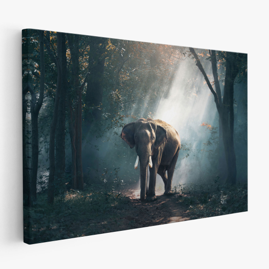 Stampa su tela - Elefante