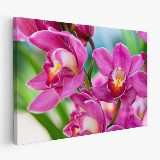 Stampa su tela - Fiori