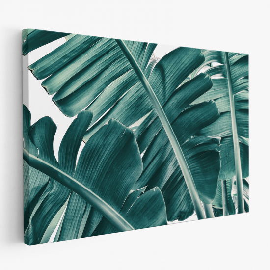 Stampa su tela - Foglie Tropicali