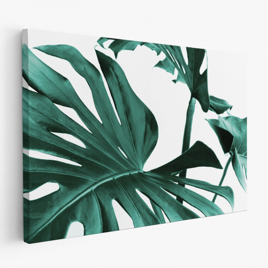 Stampa su tela - Foglie Tropicali Monstera