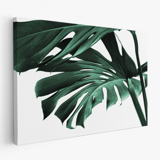 Stampa su tela - Foglie Tropicali Monstera