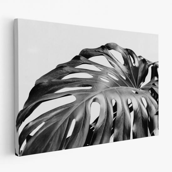 Stampa su tela - Foglie Tropicali Monstera