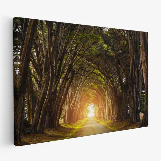 Stampa su tela - Foresta